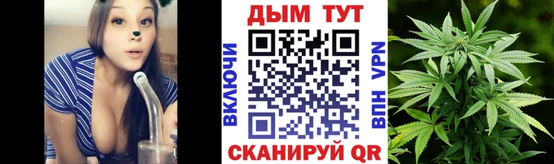 Конопля семена  Купить где  Котельники 